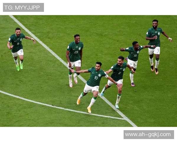 阿根廷与韩国比赛数据分析及历史交锋记录详解